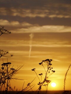 Степной закат обои