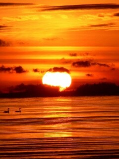 Великолепный рассвет обои