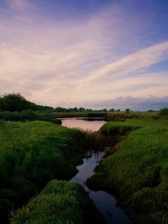 Канава и пруд обои