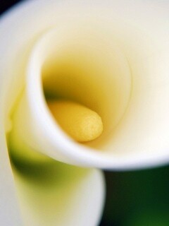 Спираль обои