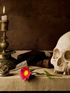 Проблеск в темноте обои