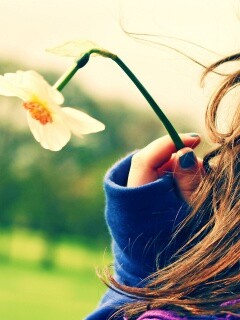 Девушка с нарциссом в руке обои