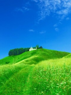 Летние холмы обои