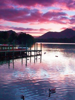 Причал на озере и утки обои