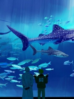 Двое в океанариуме обои