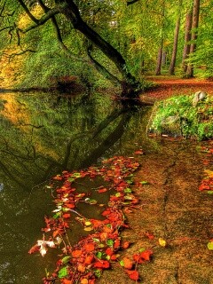 Пейзаж обои