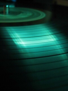 Пластинка обои