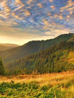 Предгорье обои