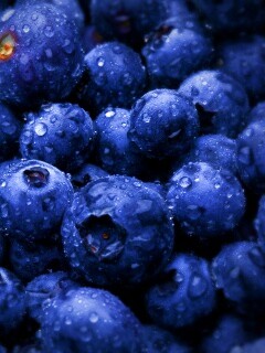 Свежая черника обои