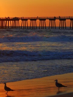 Морская терасса обои