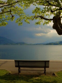 Скамейка на берегу обои