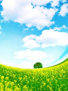 Искаженный мир обои