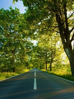 Прямая дорога обои