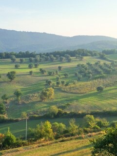 Ферма в долине обои