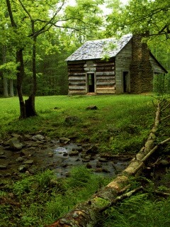 Домик в лесу обои