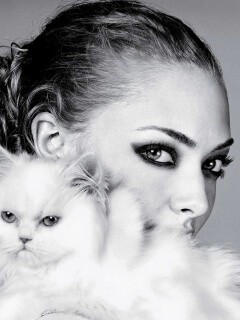 Девушка с кошкой обои