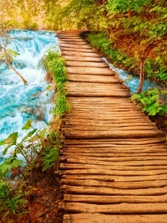 Деревянная дорожка над ручьем обои