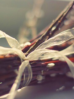 Букет вербы обои