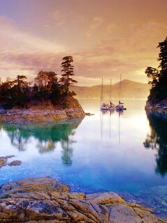 Яхты в заливе обои