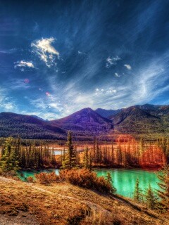 Болотистая местность обои