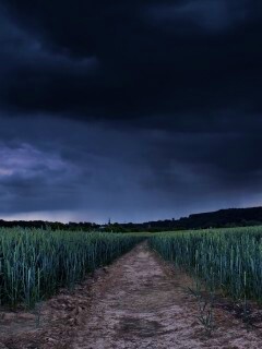 Поле ночью обои