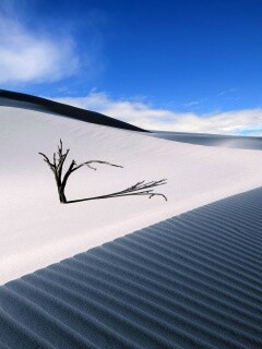 Дюны белого песка обои