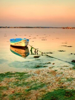 Лодка на илистом берегу обои