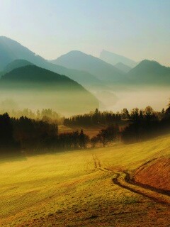 Дорога в туманную долину обои