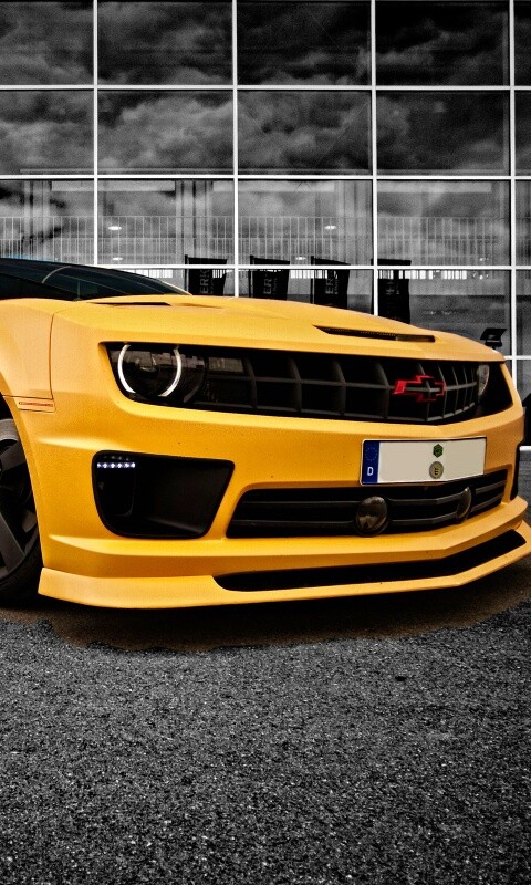 Желтый монстр обои