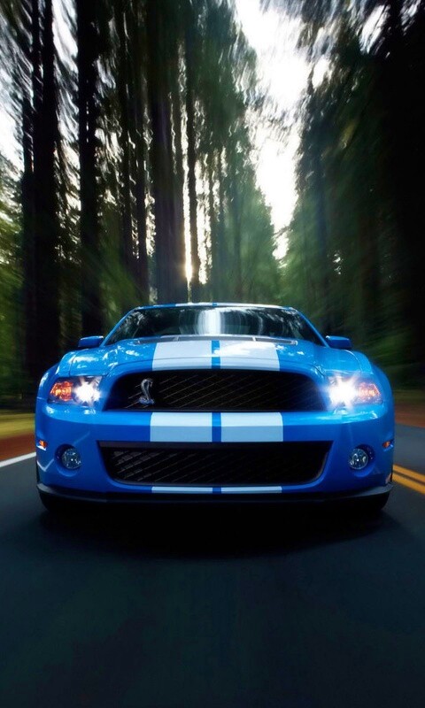 Форд Шелби обои