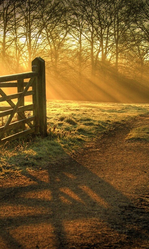 Открытые ворота обои