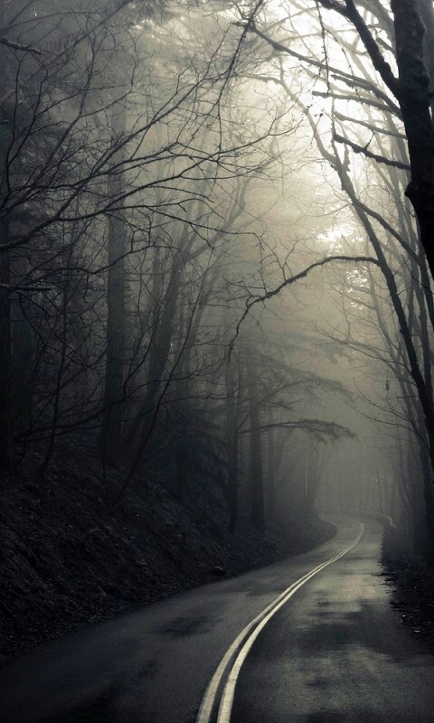 В туман обои