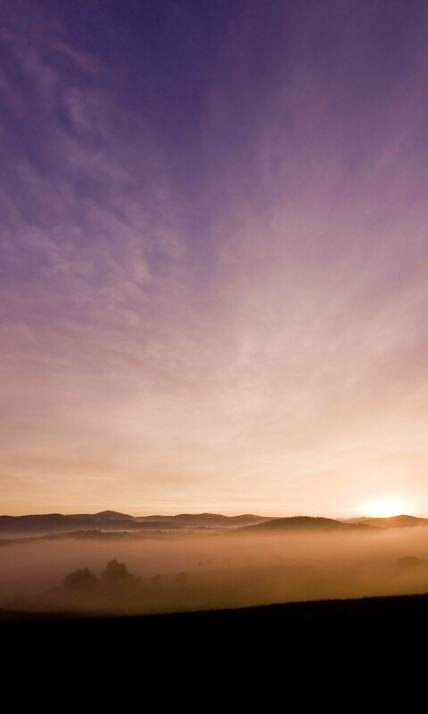 Утренний туман обои