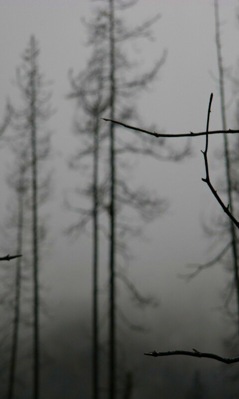 Безысходность обои