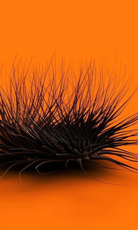 Волосатая мочалка обои