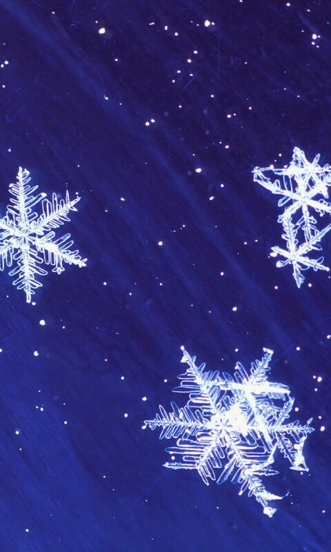 Снежинки обои