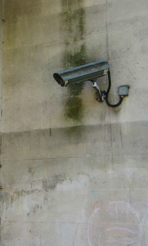 На что ты смотришь? обои