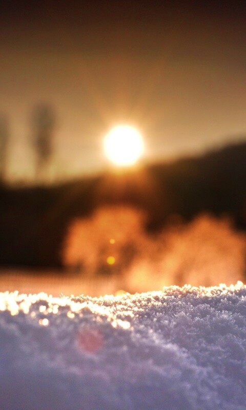 Размытый закат обои