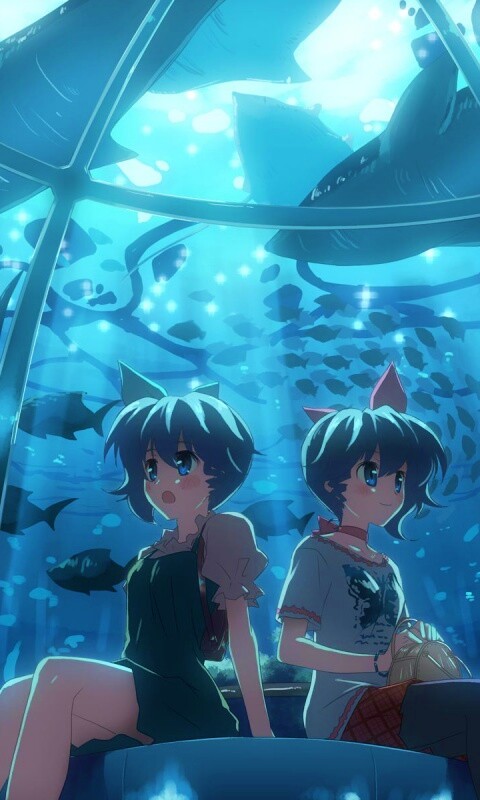 В океанариуме обои