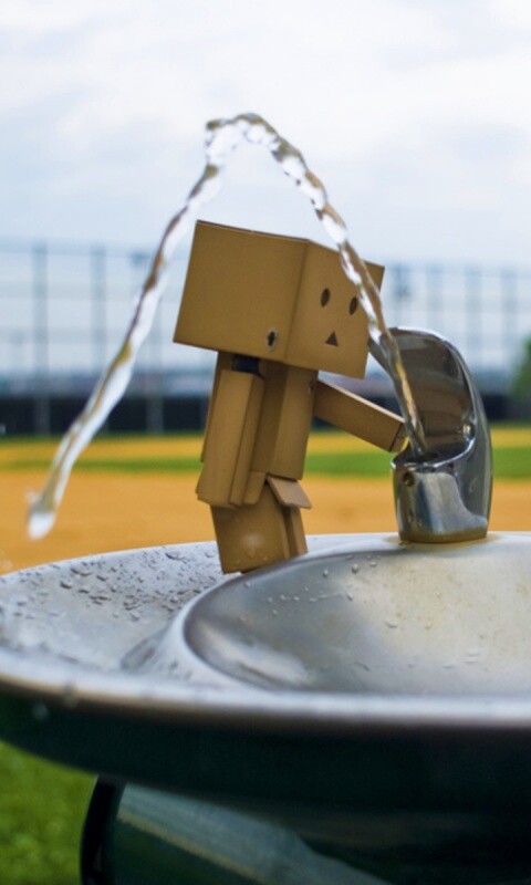 Дандо пьет в воду из фонтанчика обои