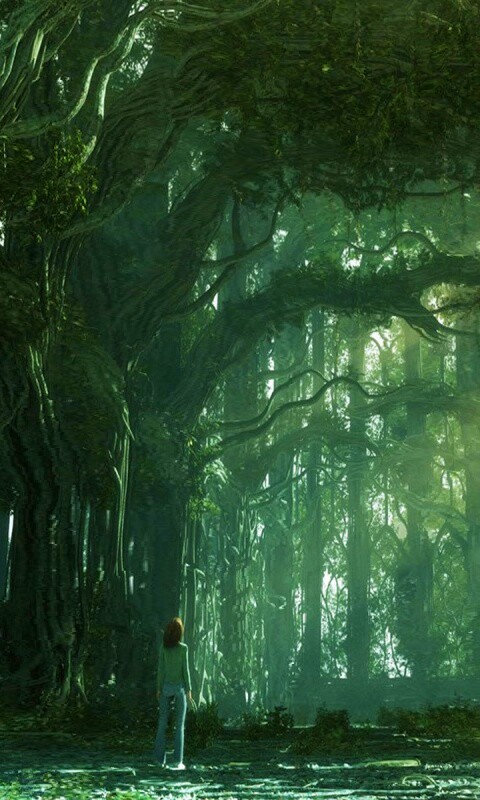 Одна в сумеречном лесу обои