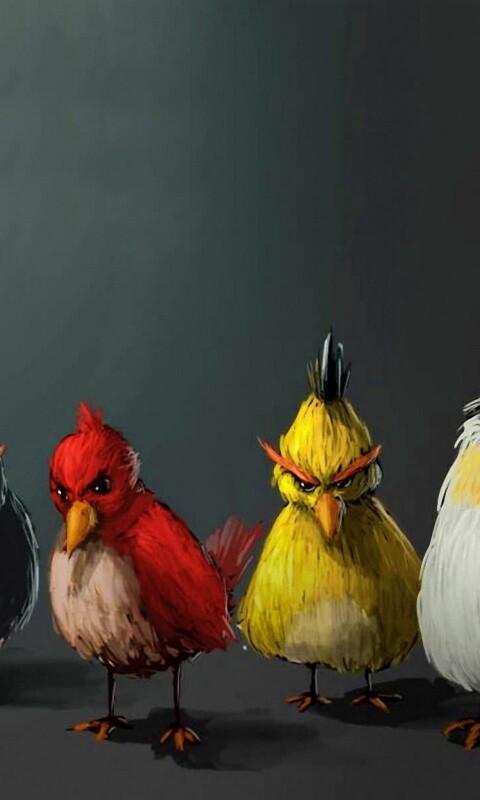 Злые птицы обои