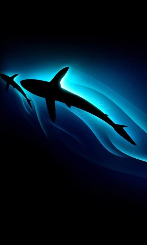 Рыбы в глубине обои