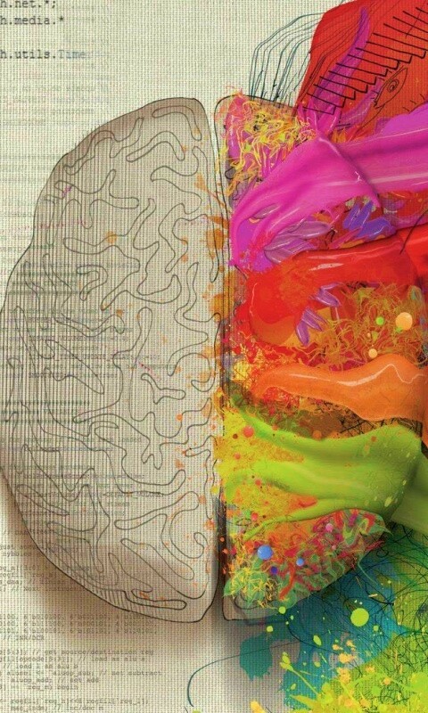 Различия левого и правого полушария обои