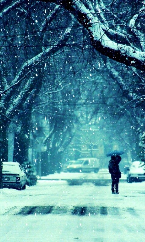 Зимняя улица обои