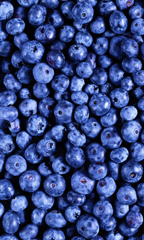 Черника обои