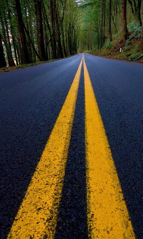 Дорога в лесу обои