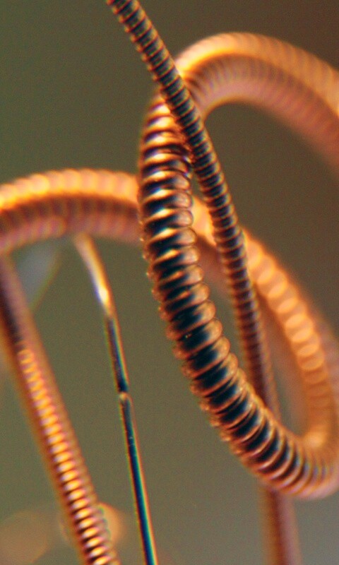 Пружина обои