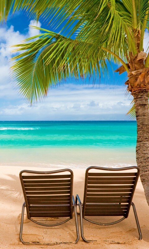 Шезлонги обои