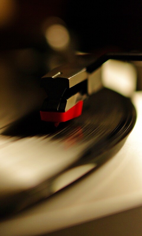 Пластинка обои